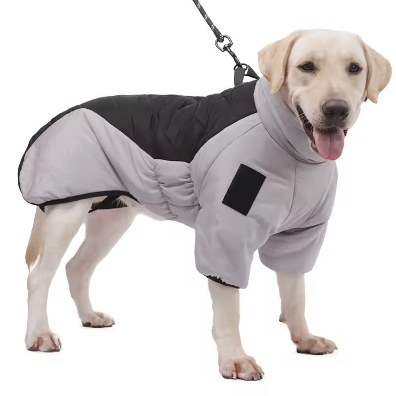The Big Dog Puffer