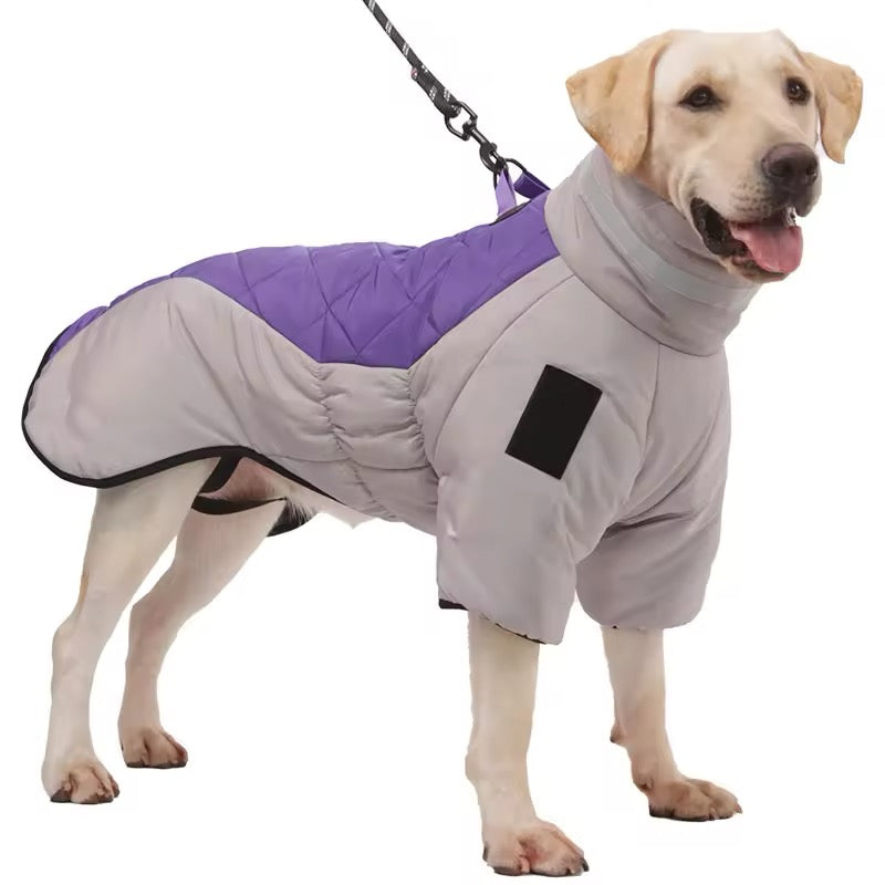 The Big Dog Puffer
