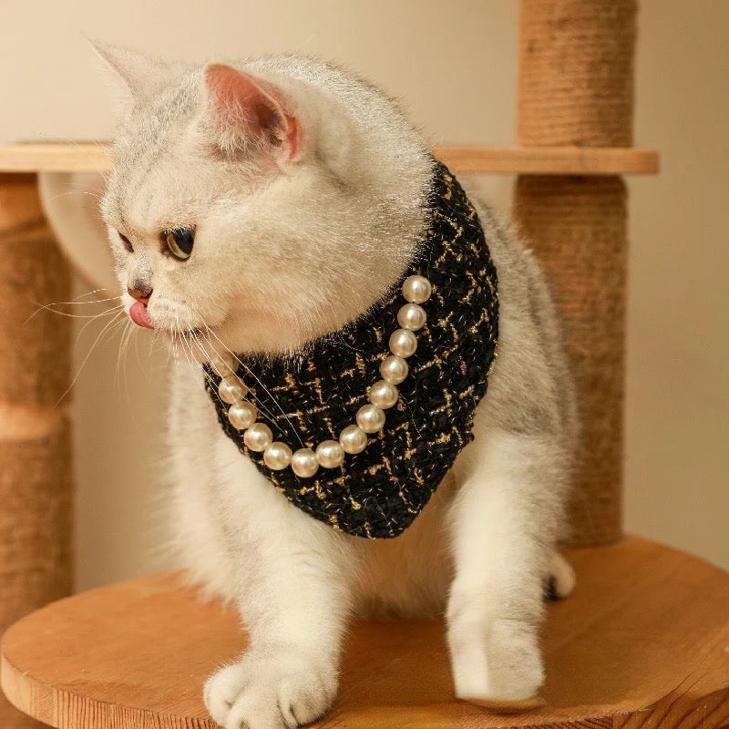The Pawfect Little Scarf