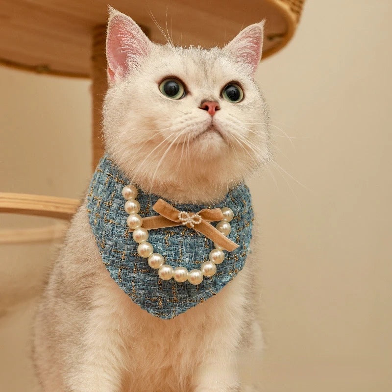 The Pawfect Little Scarf