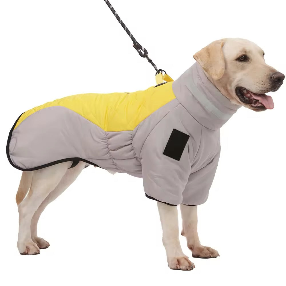 The Big Dog Puffer