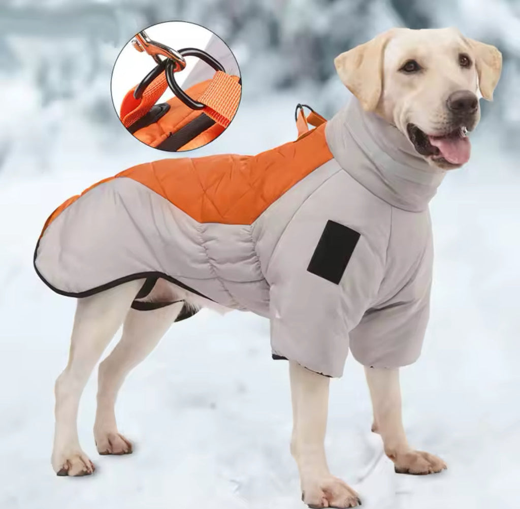 The Big Dog Puffer