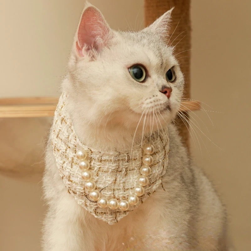 The Pawfect Little Scarf
