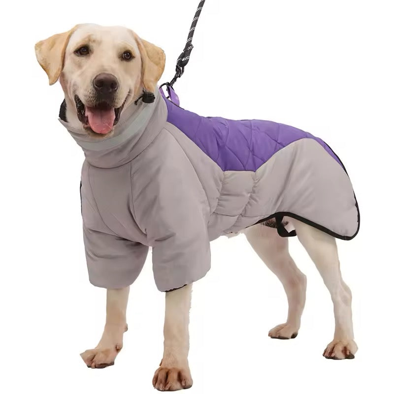 The Big Dog Puffer